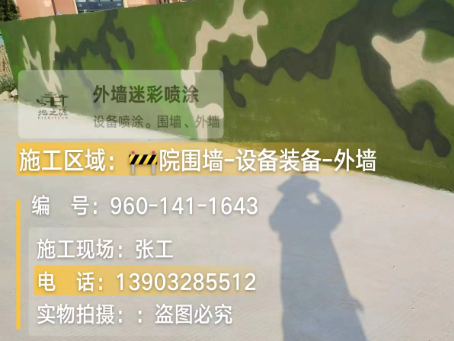 武威 迷彩漆喷涂价格（按平方米计费）